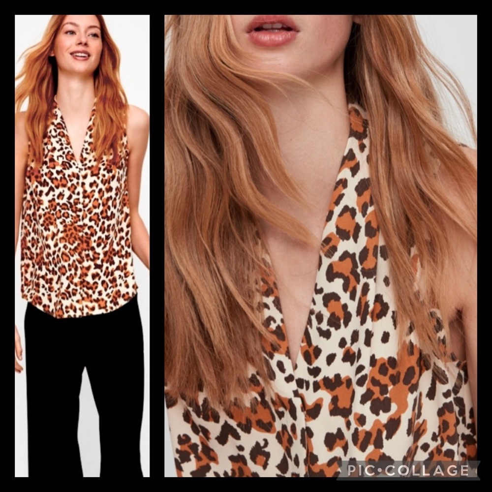 Aritzia Akira Sleeveless Blouse